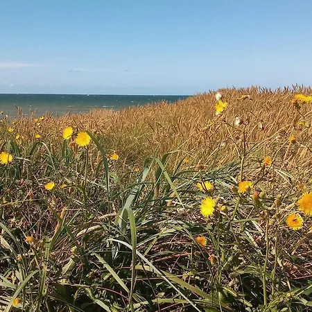 8 Person In Harboore-by Traum 哈博尔