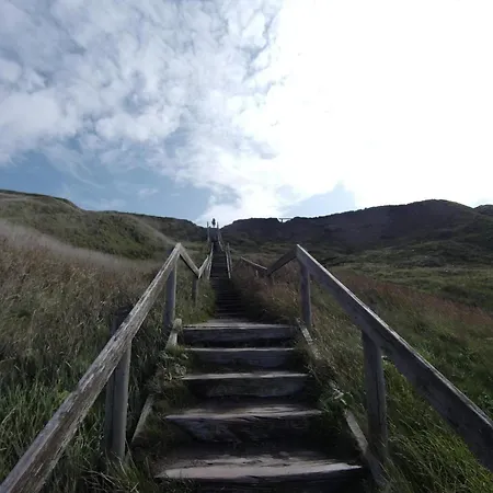 8 Person In Harboore-by Traum *