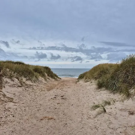 Semesterbostad 8 Person In Harboore-by Traum